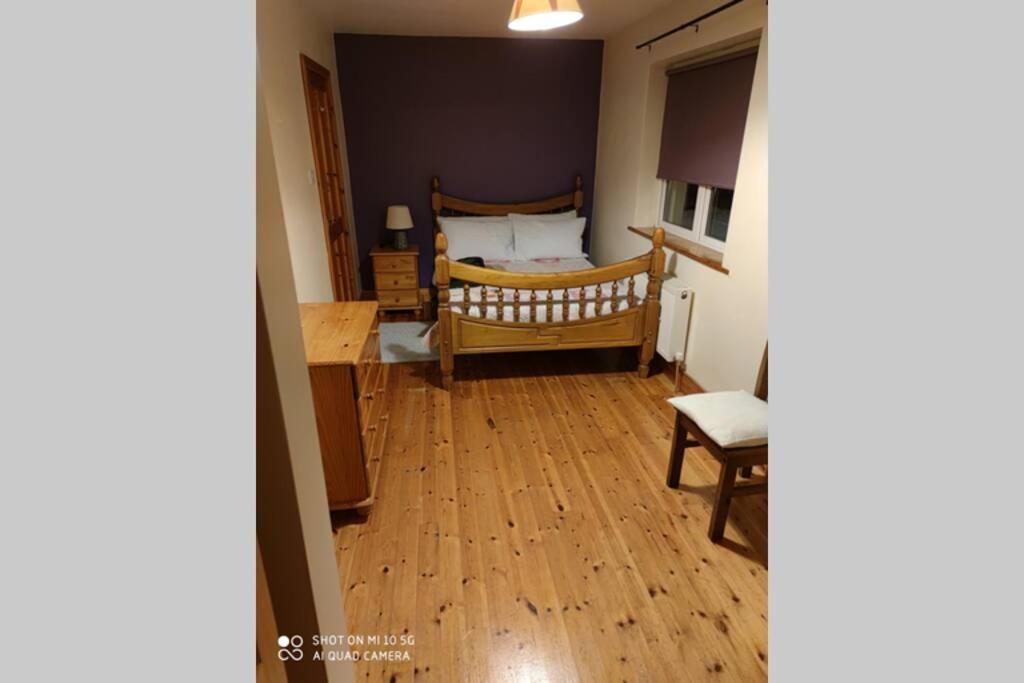 Townhouse 3 Barrow Lane Villa Bagenalstown Екстериор снимка