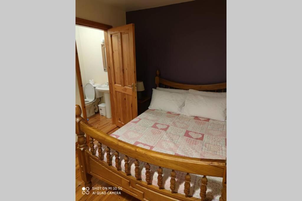 Townhouse 3 Barrow Lane Villa Bagenalstown Екстериор снимка