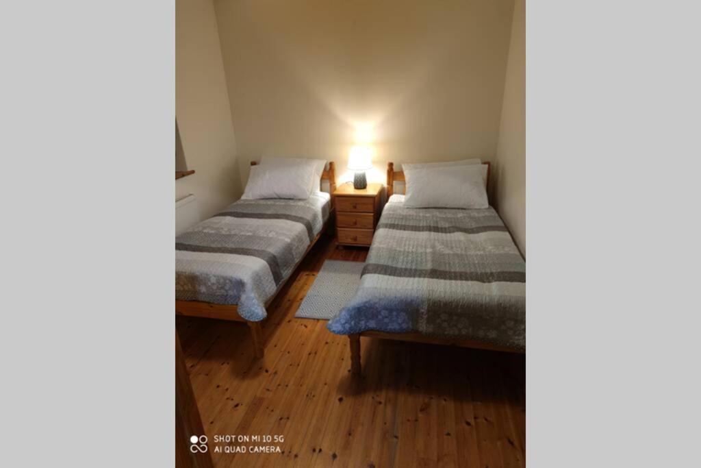 Townhouse 3 Barrow Lane Villa Bagenalstown Екстериор снимка