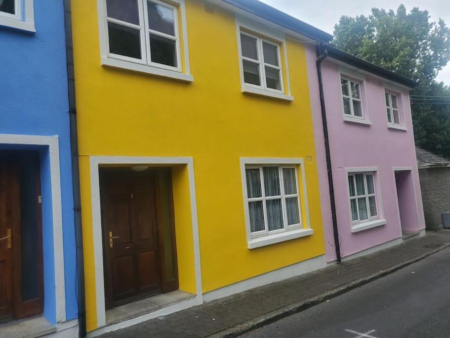 Townhouse 3 Barrow Lane Villa Bagenalstown Екстериор снимка