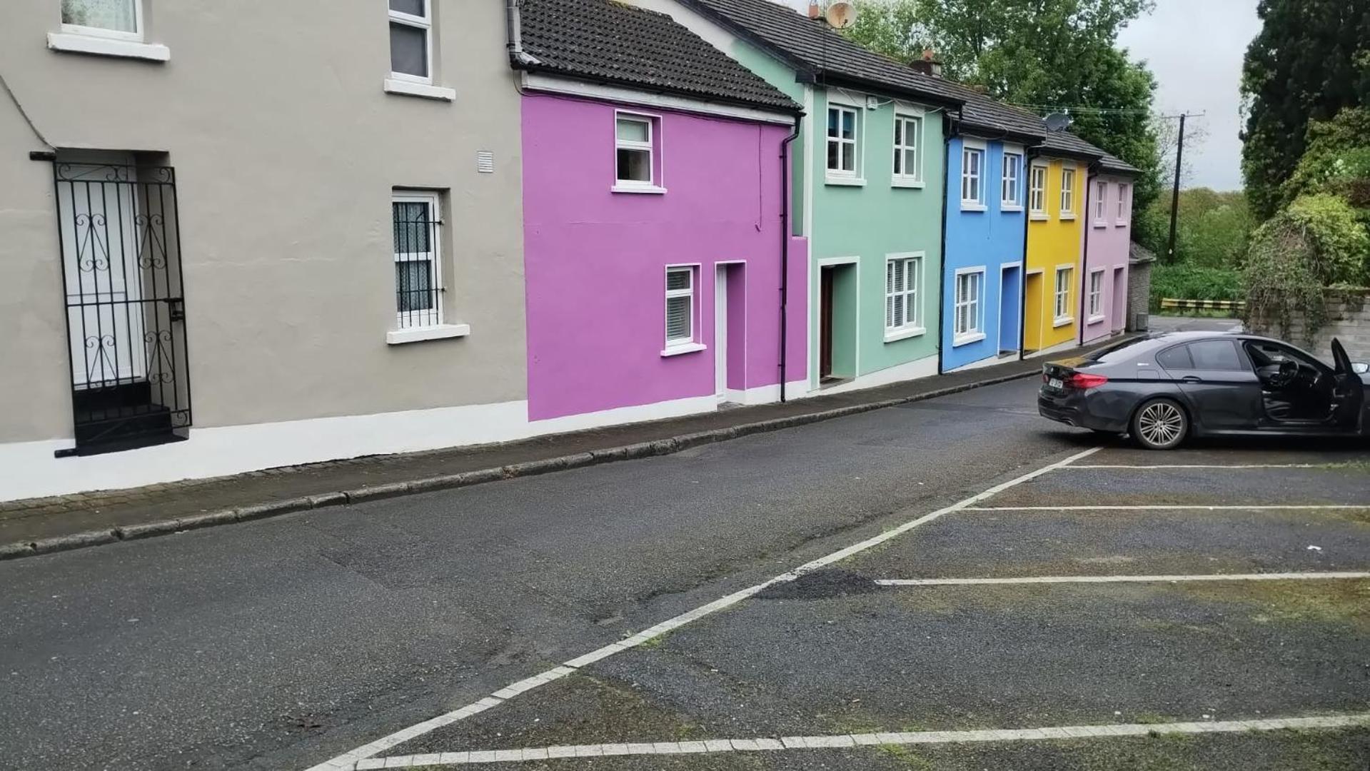 Townhouse 3 Barrow Lane Villa Bagenalstown Екстериор снимка